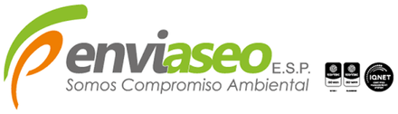 Enviaseo